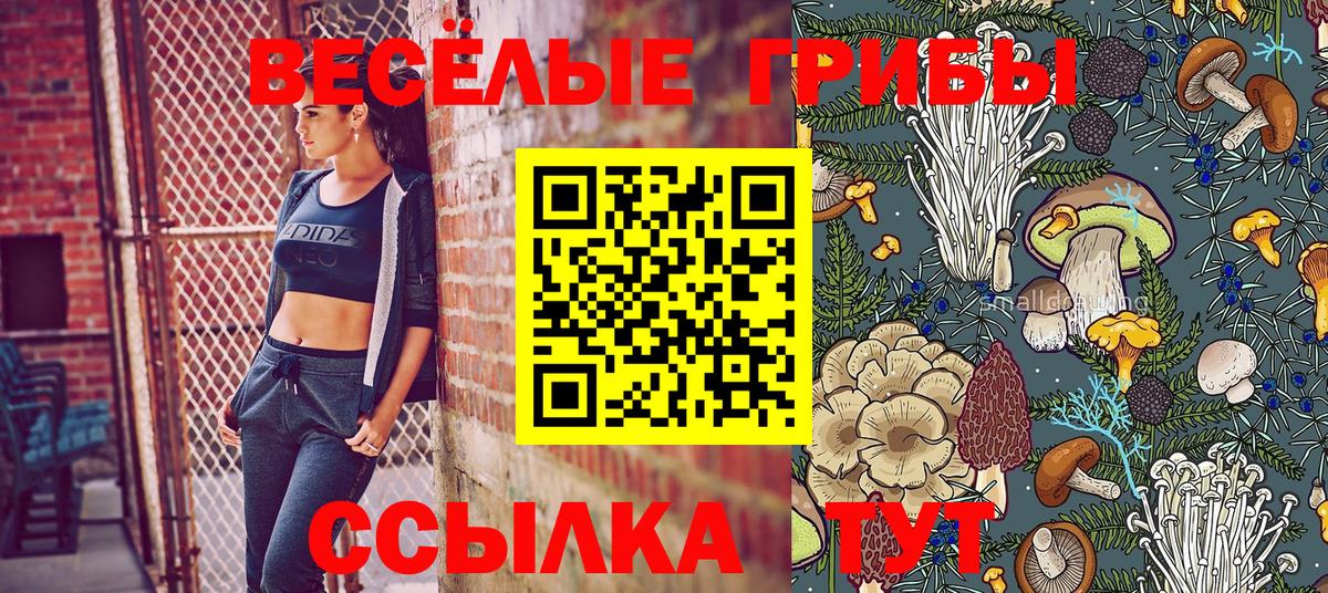 Галлюциногенные грибы MAGIC MUSHROOMS  Вход с VPN  Галлюциногенные грибы ЛСД  Стрежевой 